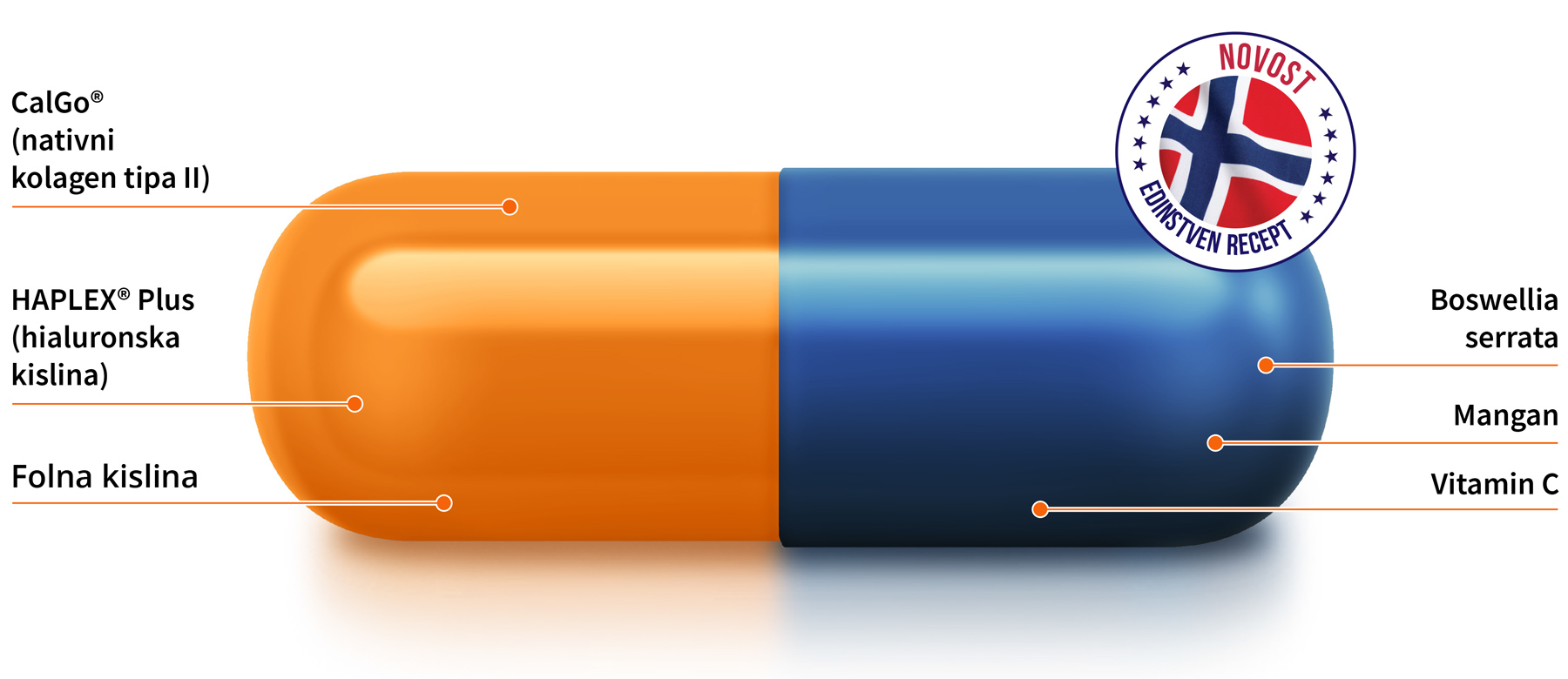 Kapsula Movisan® Collagen II