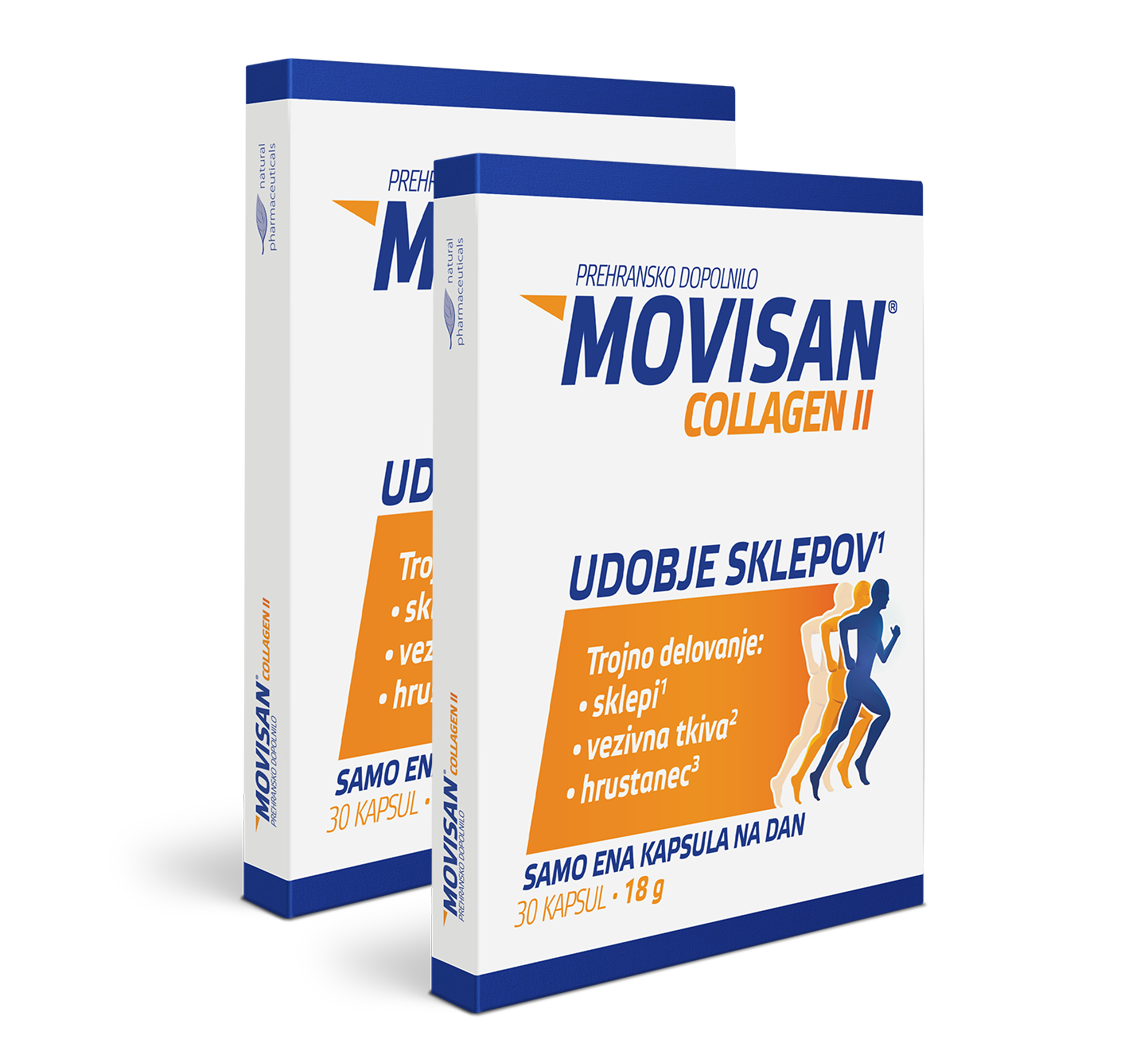 2xMovisan® Collagen II